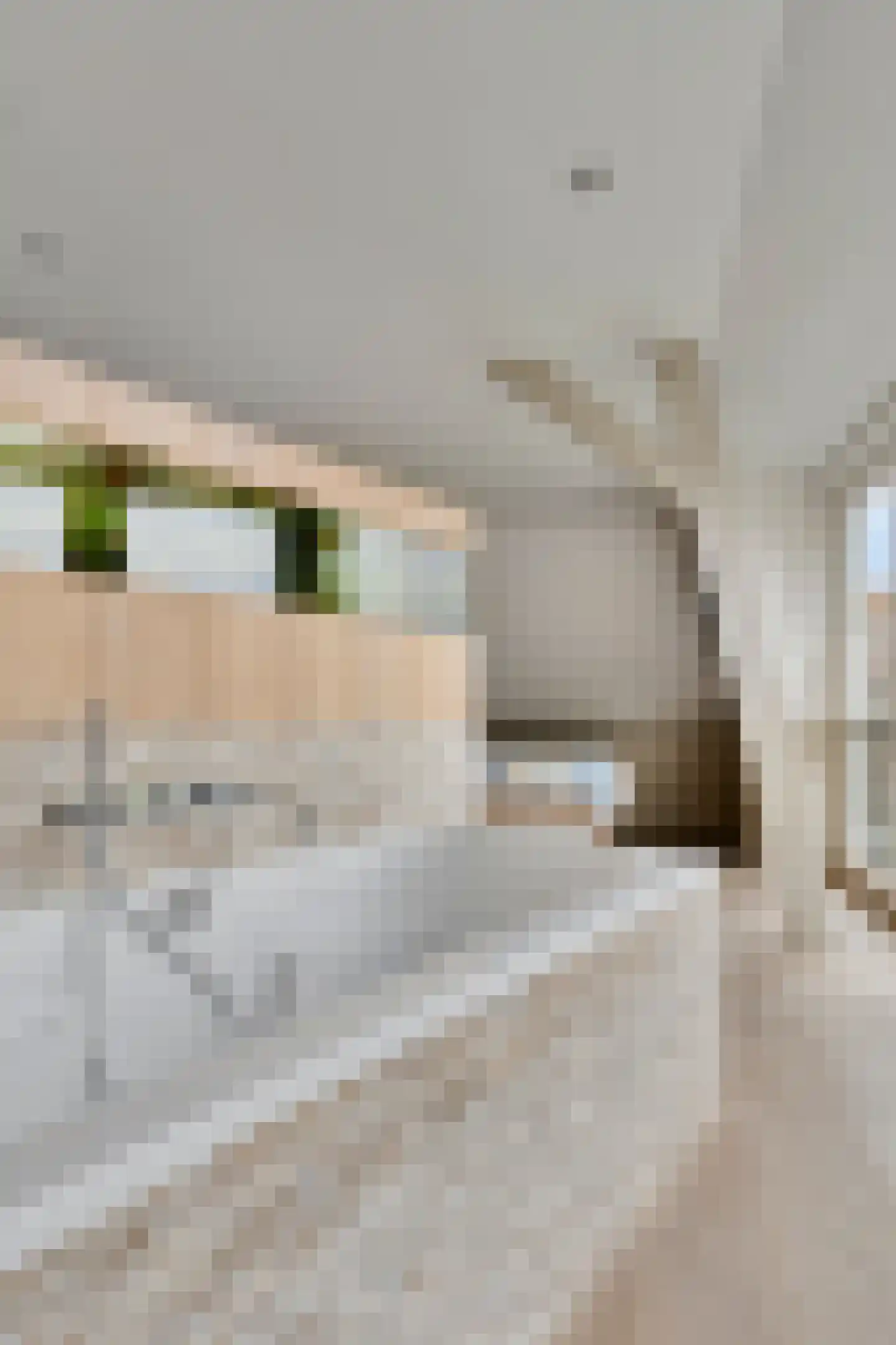 Biezelingsestraat 29 Kapelle thumbnail 61