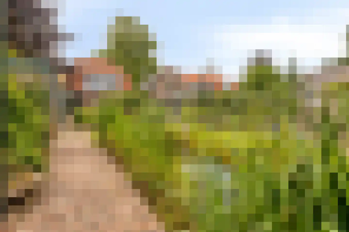 Biezelingsestraat 29 Kapelle thumbnail 9