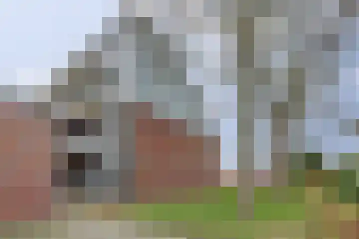 Biezelingsestraat 59 A Kapelle thumbnail 6