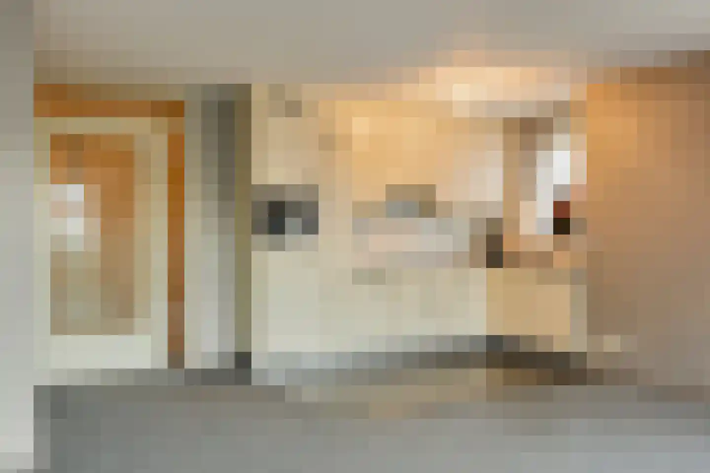 Biezelingsestraat 70 C Kapelle thumbnail 15