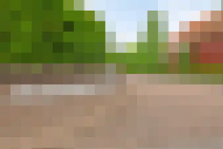 Biezelingsestraat 70 F Kapelle thumbnail 23