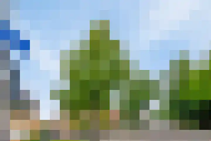 Biezelingsestraat 70 F Kapelle thumbnail 25