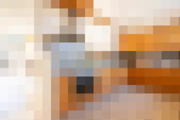 Biezematen 10 Apeldoorn thumbnail 11