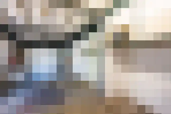 Biezematen 10 Apeldoorn thumbnail 13