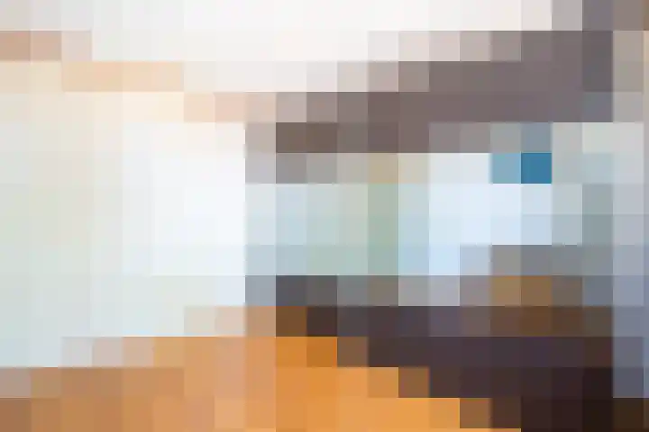 Biezematen 10 Apeldoorn thumbnail 17