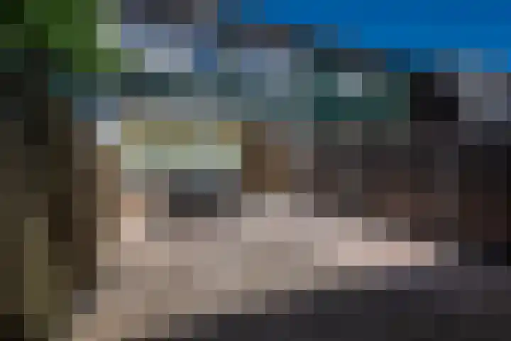 Biezematen 10 Apeldoorn thumbnail 28