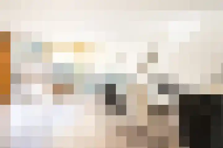 Biezematen 10 Apeldoorn thumbnail 7