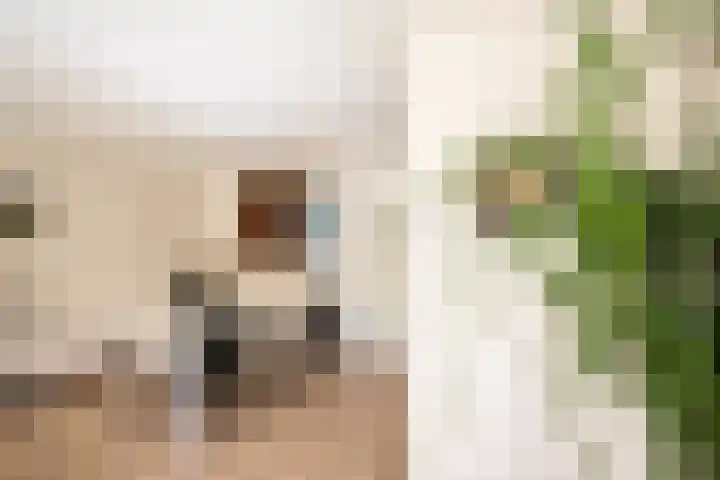 Biezematen 10 Apeldoorn thumbnail 8