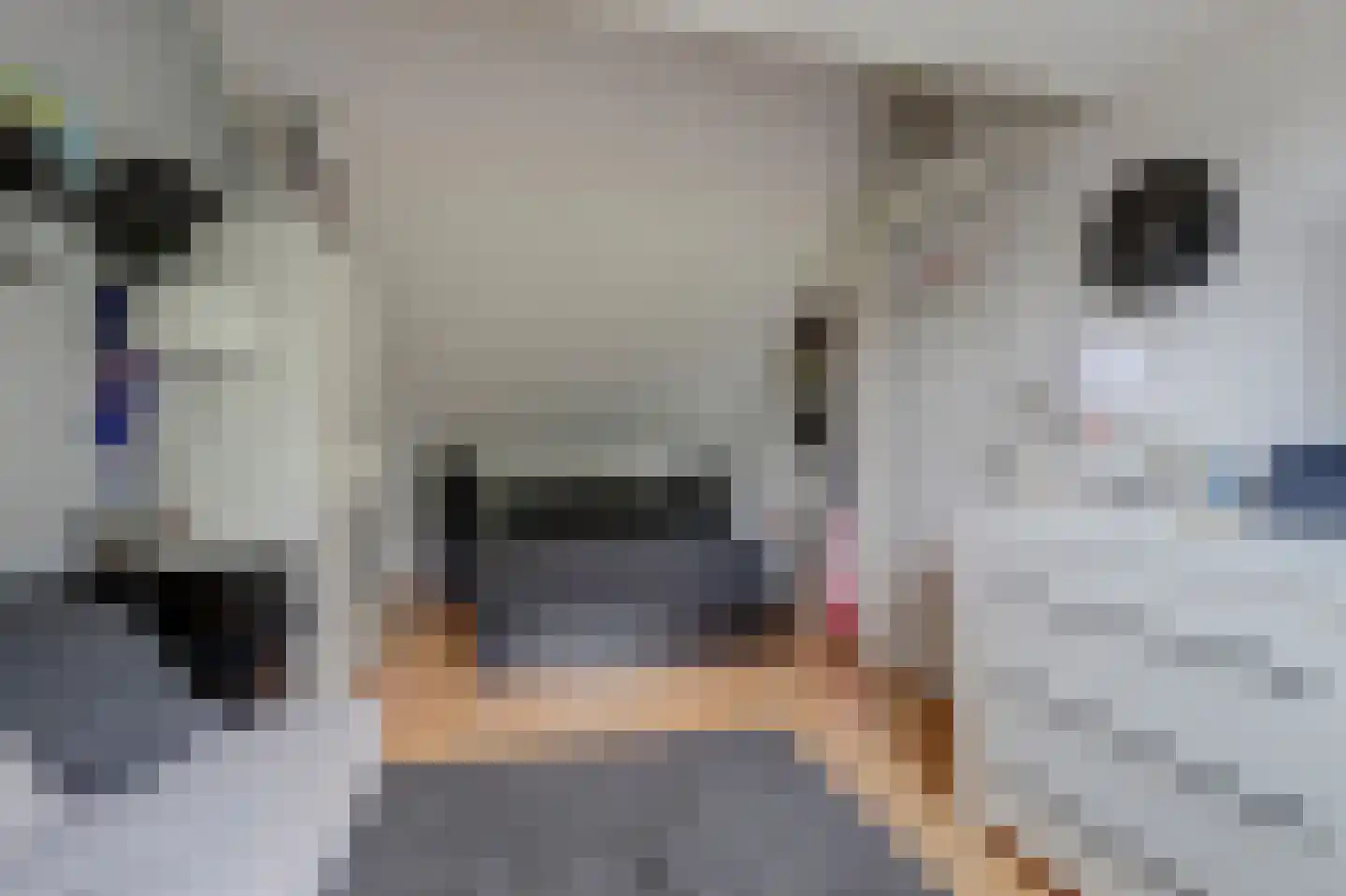 Biezematen 22 Apeldoorn thumbnail 35