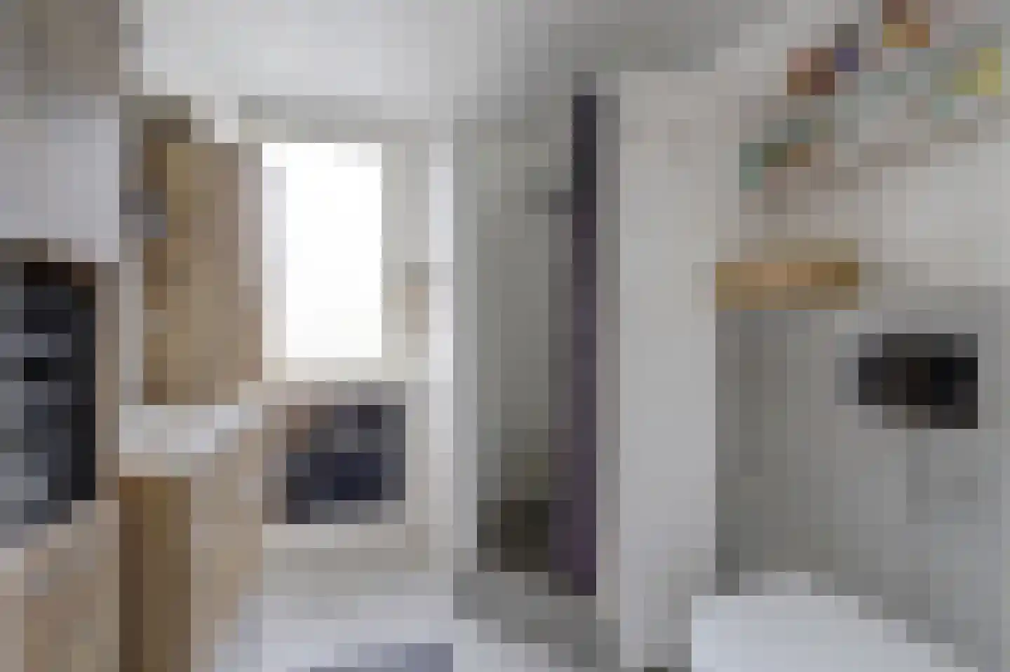Biezematen 22 Apeldoorn thumbnail 6