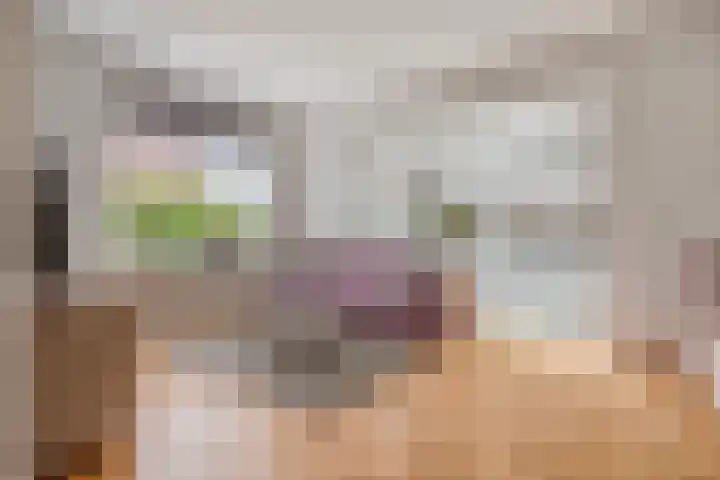Biezen 125 Boskoop thumbnail 10