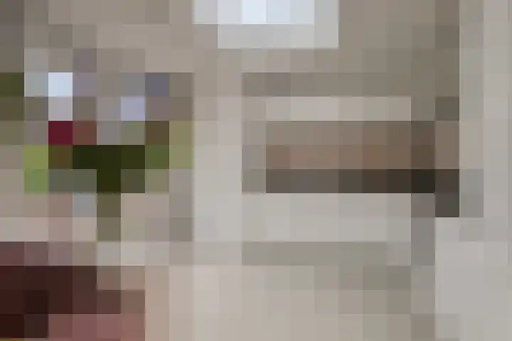 Biezen 125 Boskoop thumbnail 12