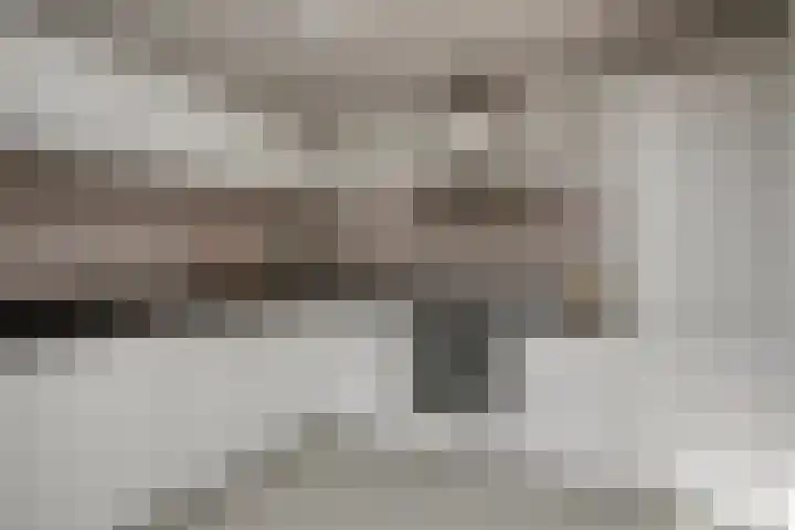 Biezen 125 Boskoop thumbnail 13