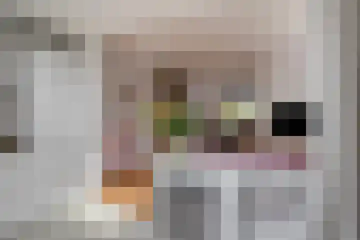 Biezen 125 Boskoop thumbnail 15