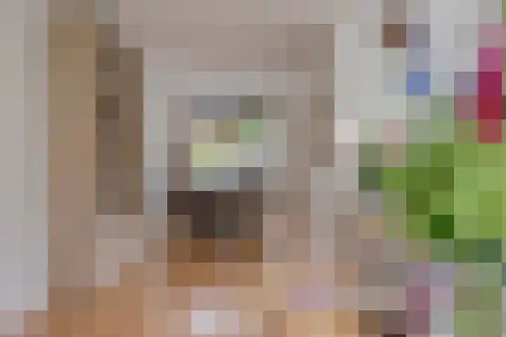 Biezen 125 Boskoop thumbnail 16