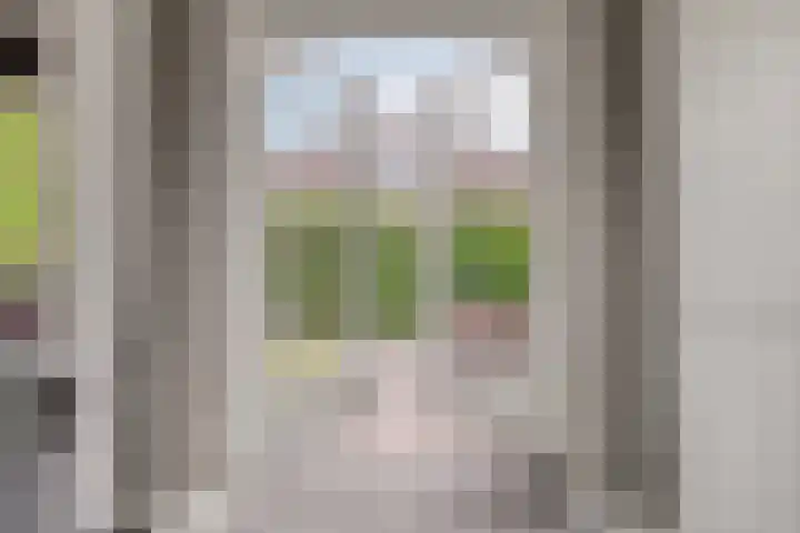 Biezen 125 Boskoop thumbnail 17