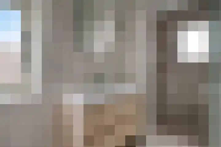 Biezen 125 Boskoop thumbnail 19