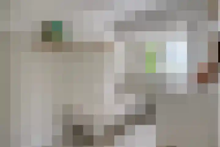 Biezen 125 Boskoop thumbnail 23