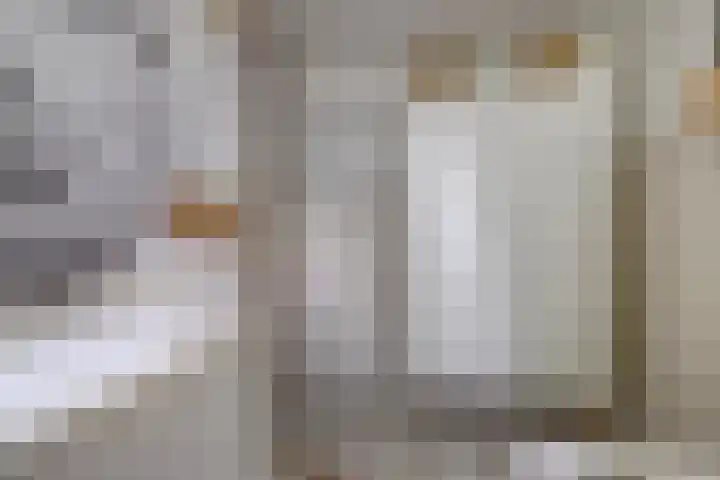 Biezen 125 Boskoop thumbnail 24