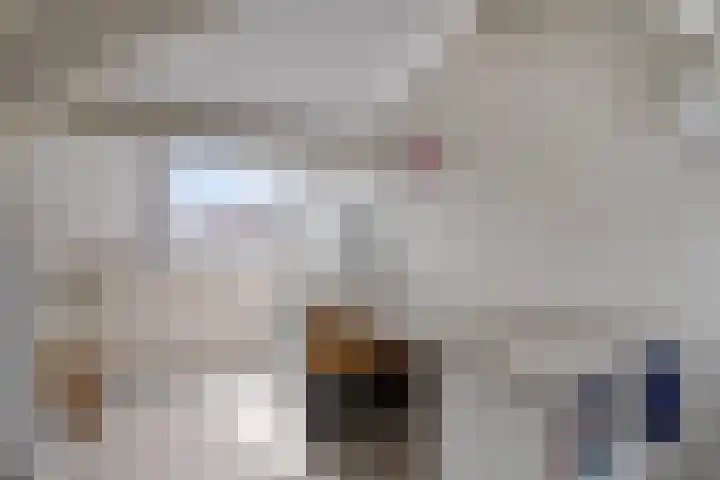 Biezen 125 Boskoop thumbnail 25