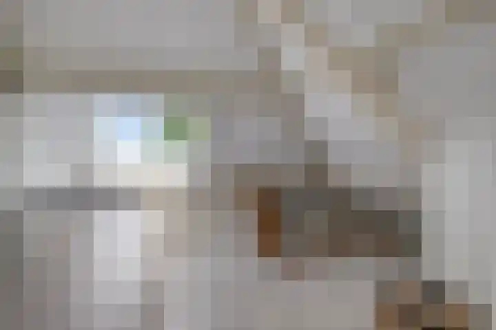Biezen 125 Boskoop thumbnail 26