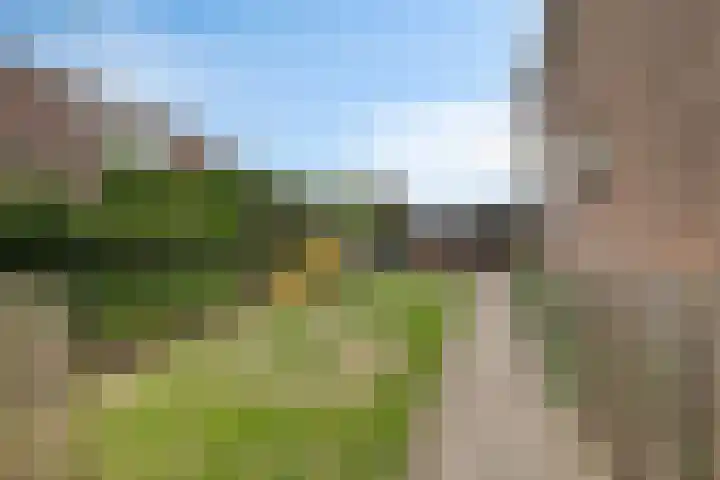 Biezen 125 Boskoop thumbnail 27