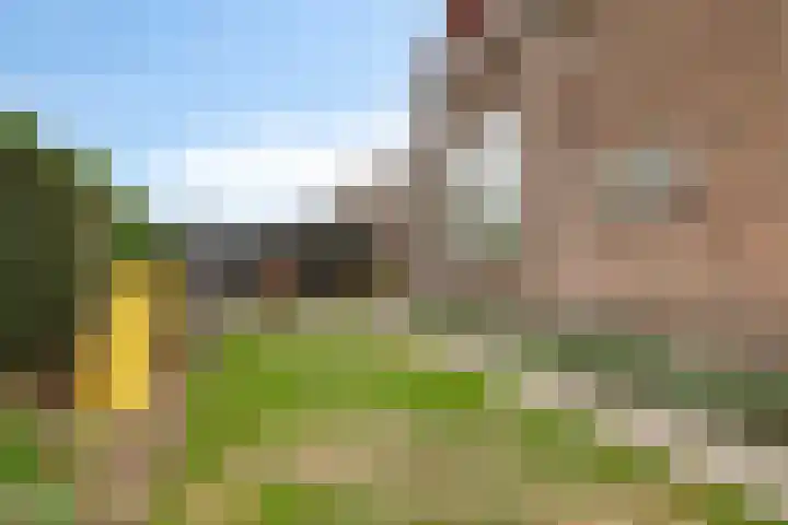 Biezen 125 Boskoop thumbnail 29