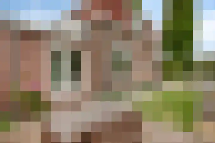Biezen 125 Boskoop thumbnail 30