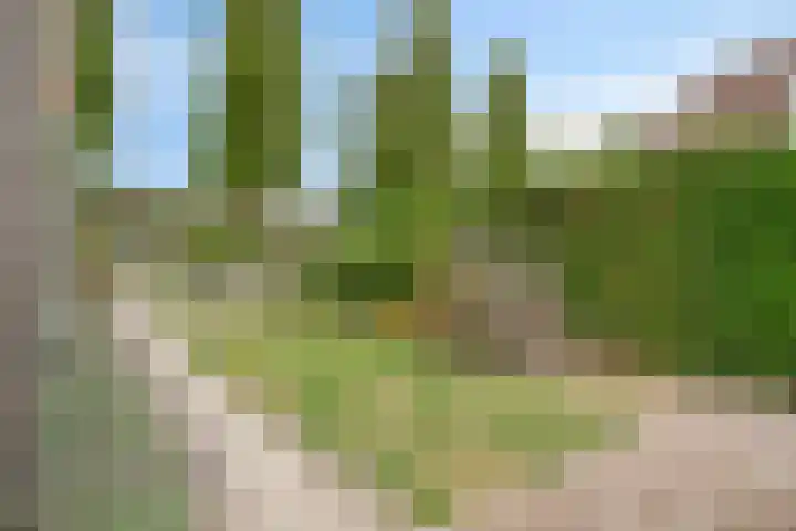 Biezen 125 Boskoop thumbnail 32