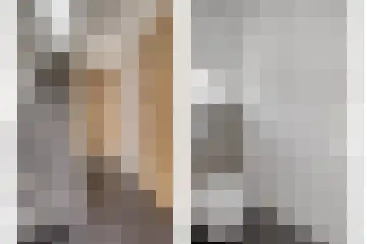 Biezen 125 Boskoop thumbnail 4