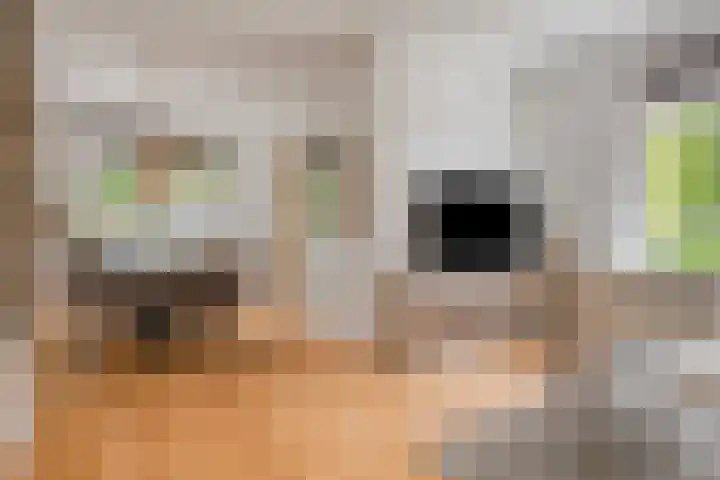 Biezen 125 Boskoop thumbnail 5