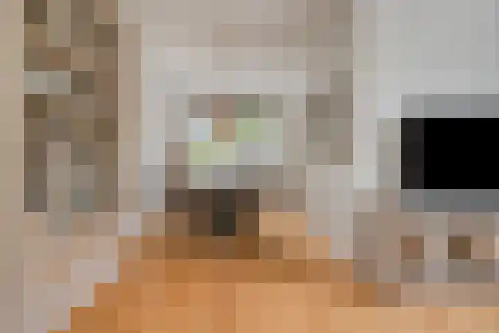 Biezen 125 Boskoop thumbnail 6