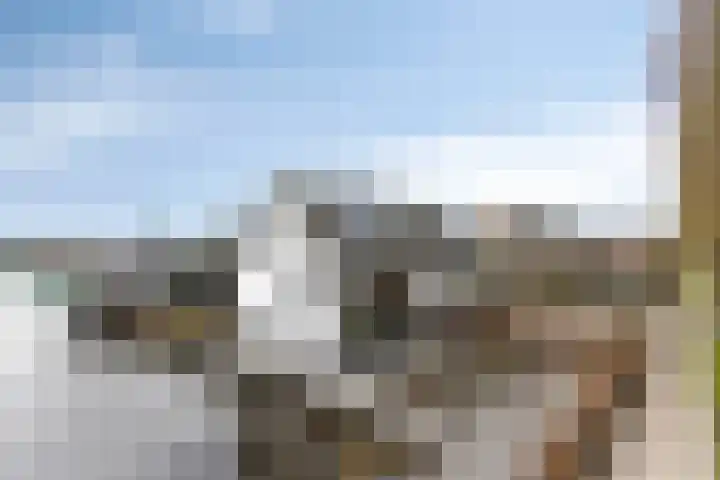 Biezen 135 in Boskoop