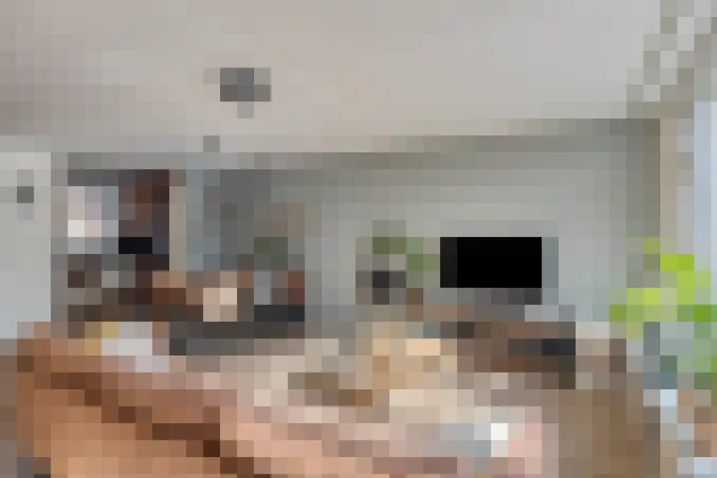 Biezen 20 Huissen thumbnail 10