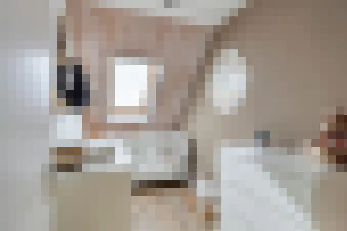 Biezen 20 Huissen thumbnail 24