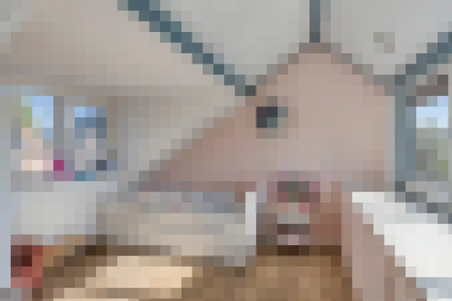 Biezen 20 Huissen thumbnail 26