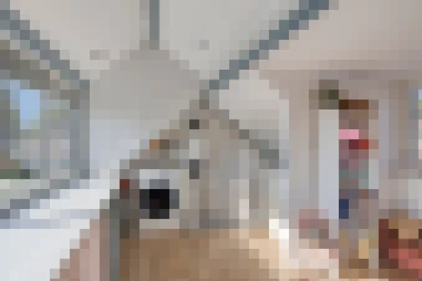 Biezen 20 Huissen thumbnail 28