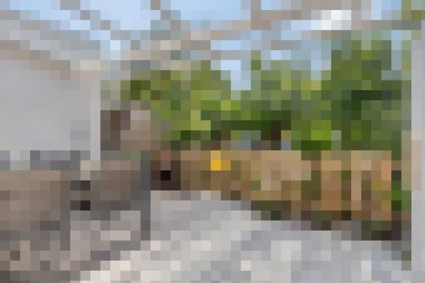 Biezen 20 Huissen thumbnail 30