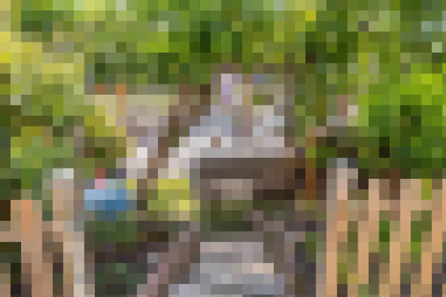 Biezen 20 Huissen thumbnail 32