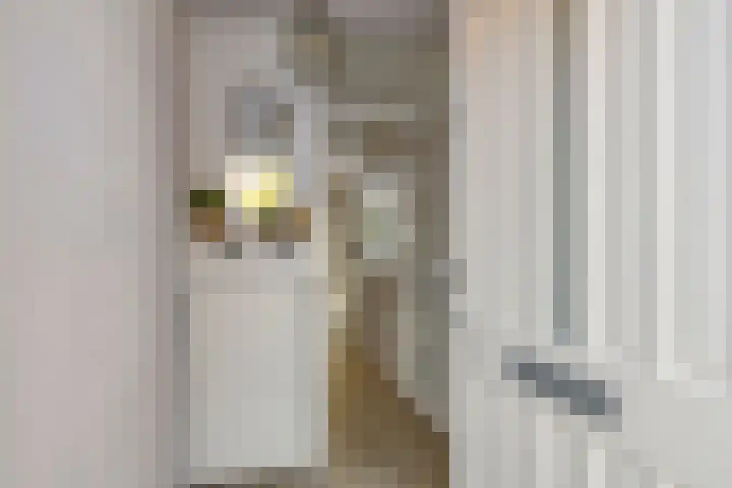 Biezen 20 Huissen thumbnail 4