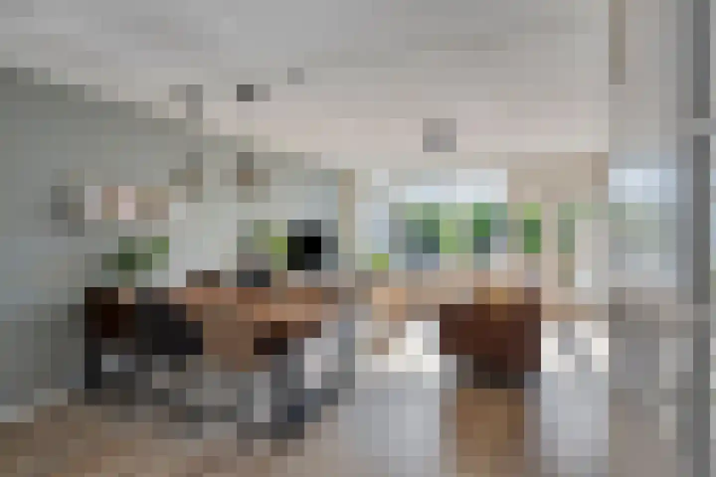 Biezen 20 Huissen thumbnail 8
