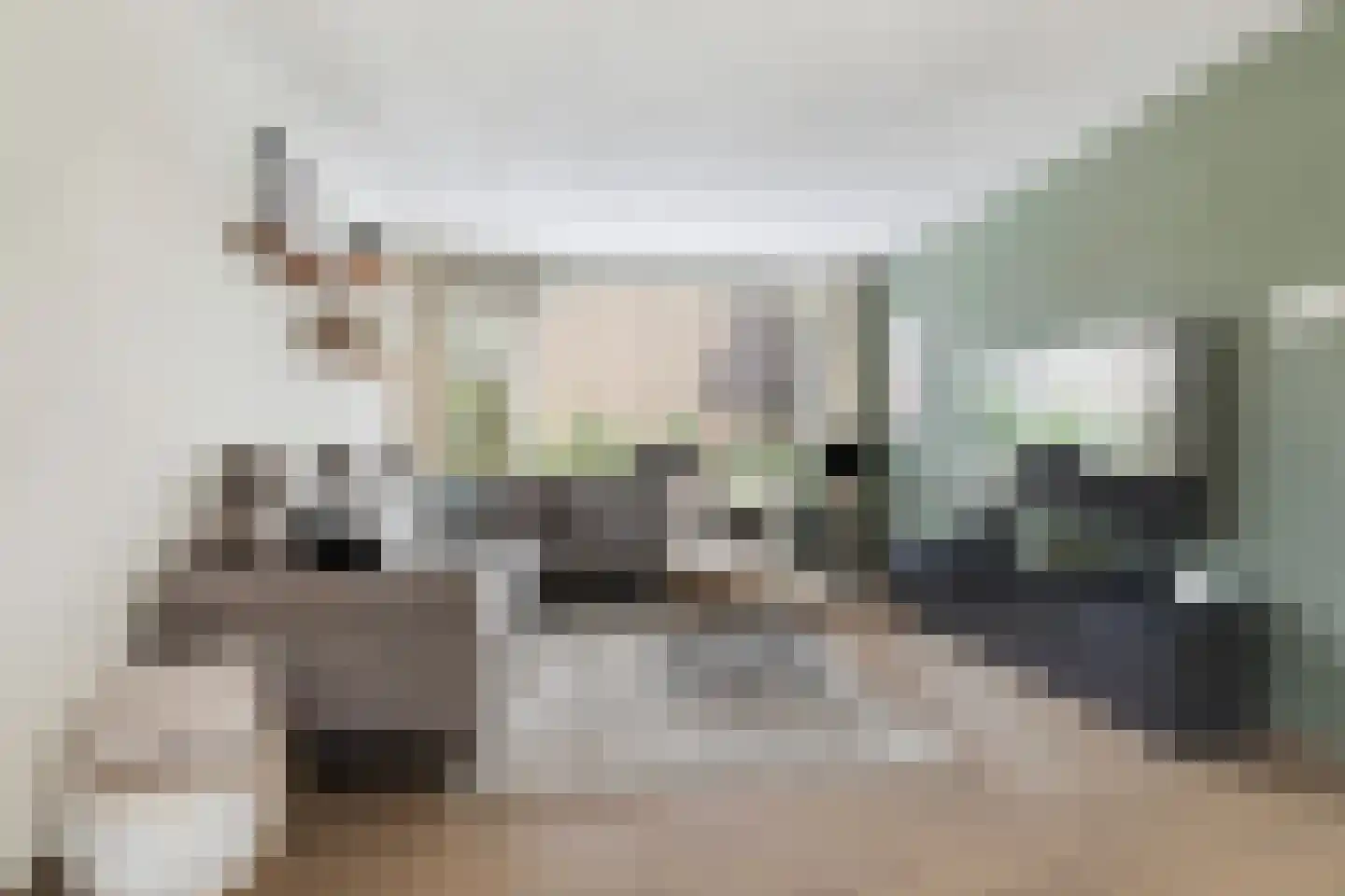 Biezen 3 Barendrecht thumbnail 11