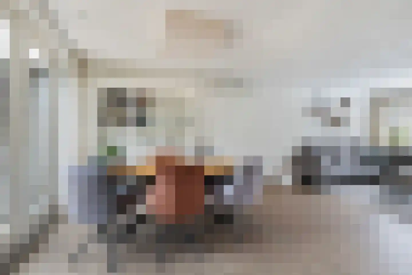 Biezen 3 Barendrecht thumbnail 13