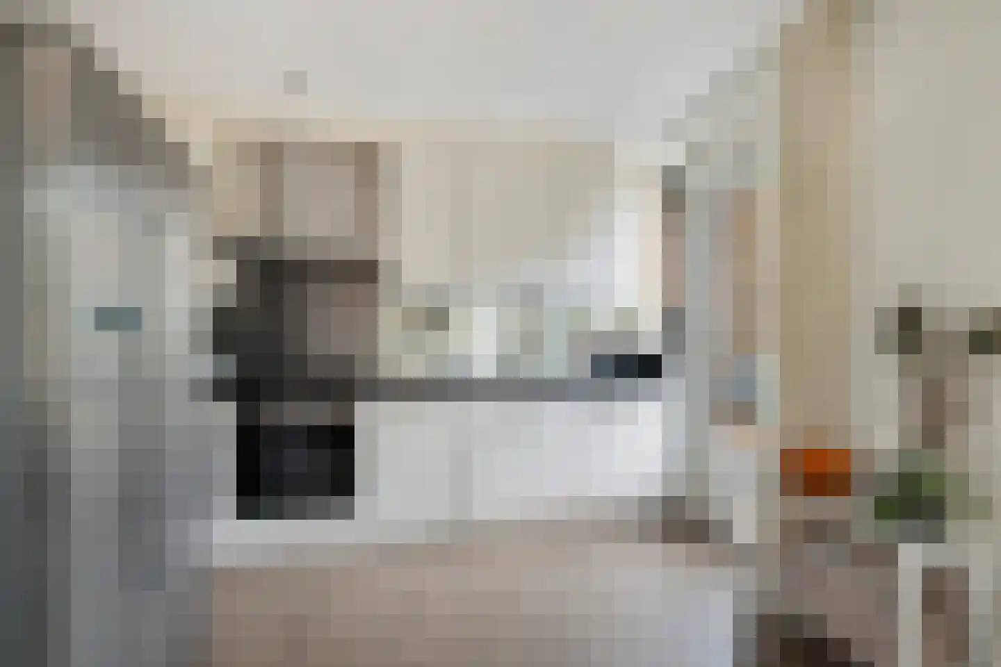 Biezen 3 Barendrecht thumbnail 15