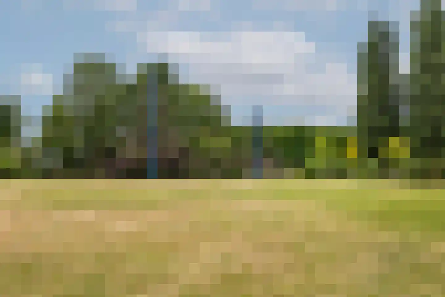 Biezen 3 Barendrecht thumbnail 36