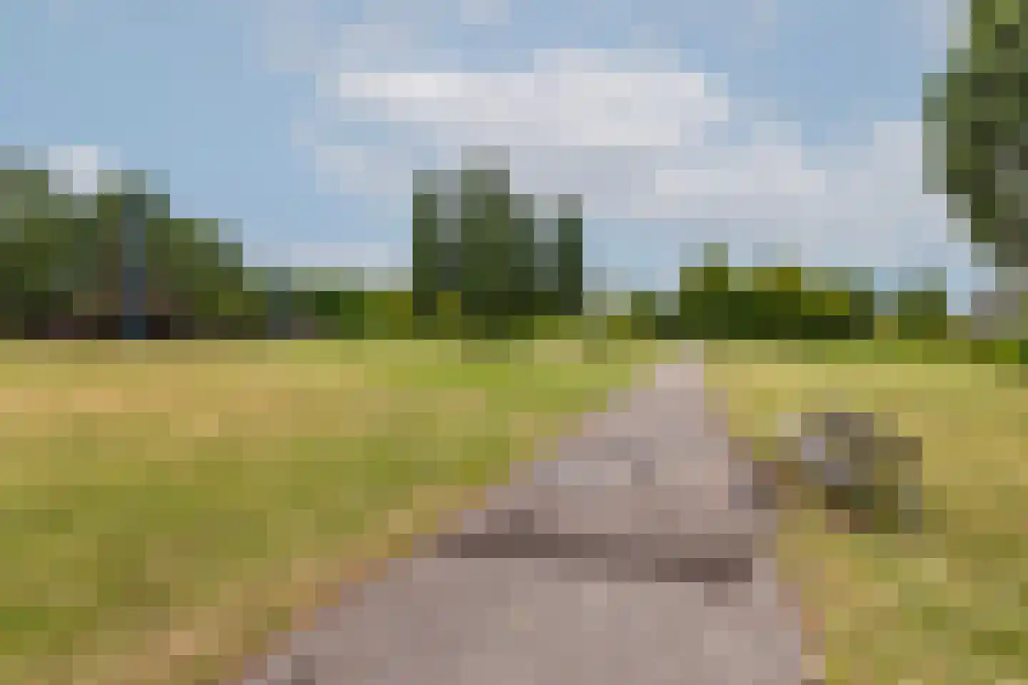 Biezen 3 Barendrecht thumbnail 37