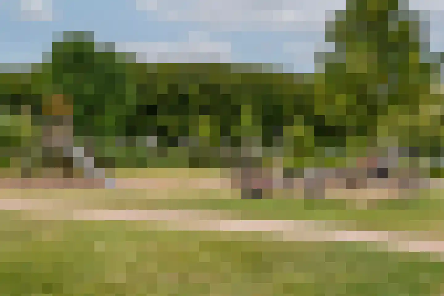Biezen 3 Barendrecht thumbnail 38