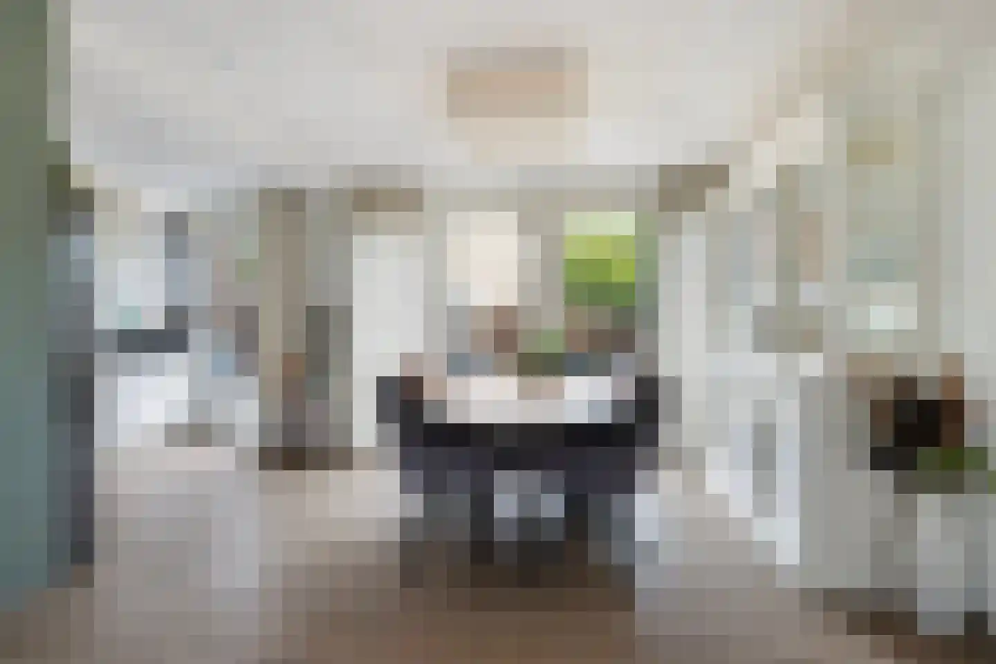 Biezen 3 Barendrecht thumbnail 4