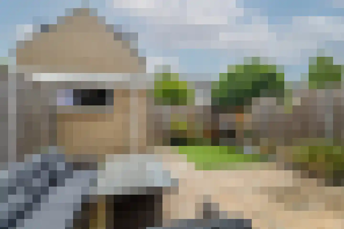 Biezen 3 Barendrecht thumbnail 7
