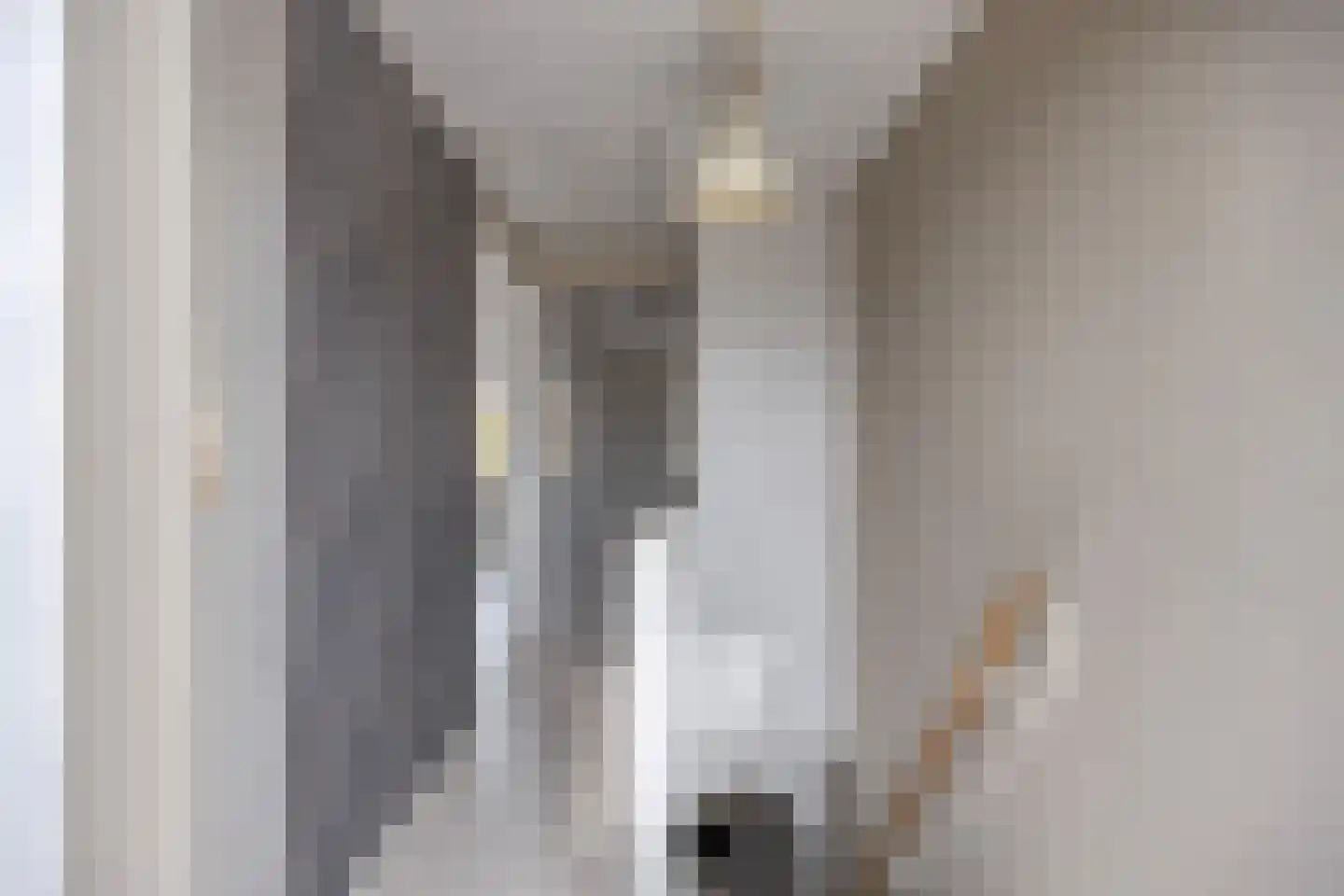 Biezen 30 Dongen thumbnail 21